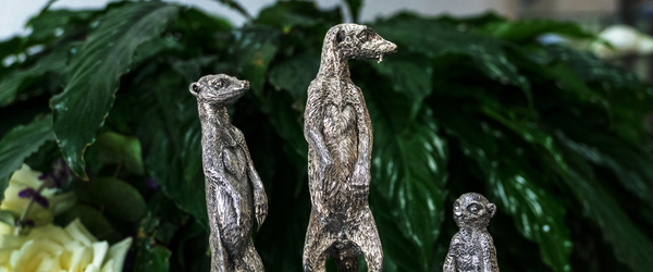Alexander Mavros and the Meerkats