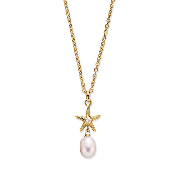 Starfish Treasure Necklace in 18ct Gold